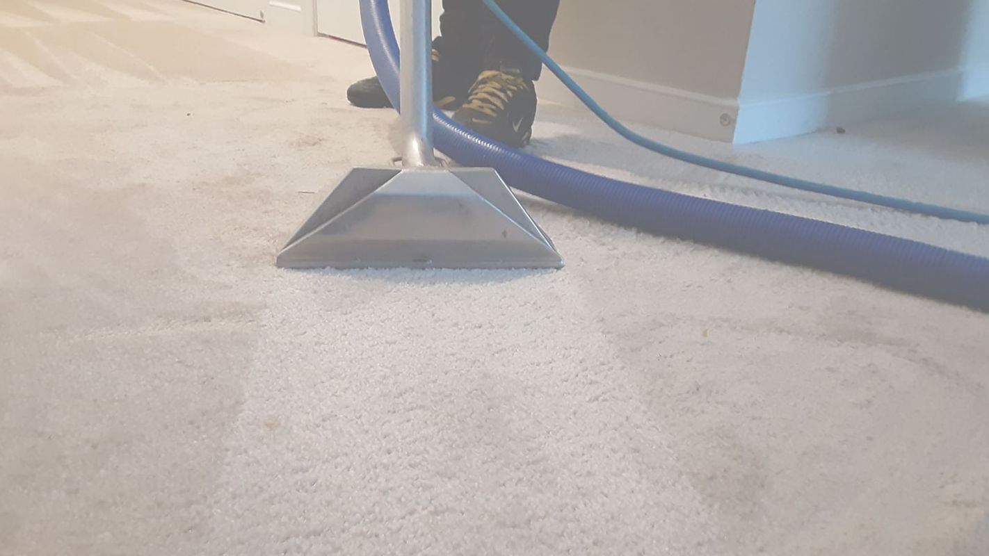 Make it Dust-Free with Affordable Carpet Cleaners Upper Marlboro, MD