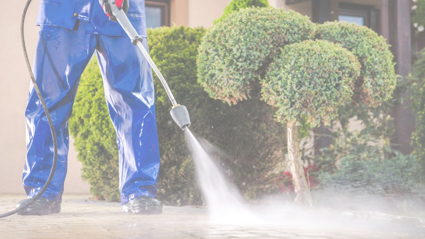 Best Pressure Washing Services in Coral Gables, FL