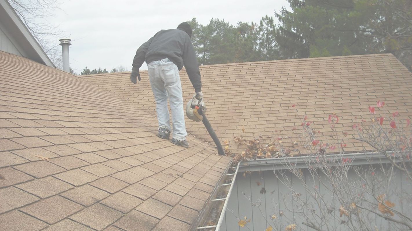 Reliable Gutter Cleaning Services in Your Area