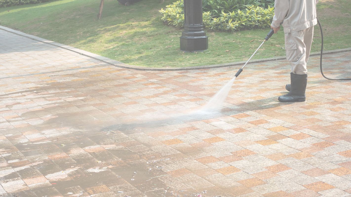 Driveway Pressure Washing Services in Coral Gables, FL