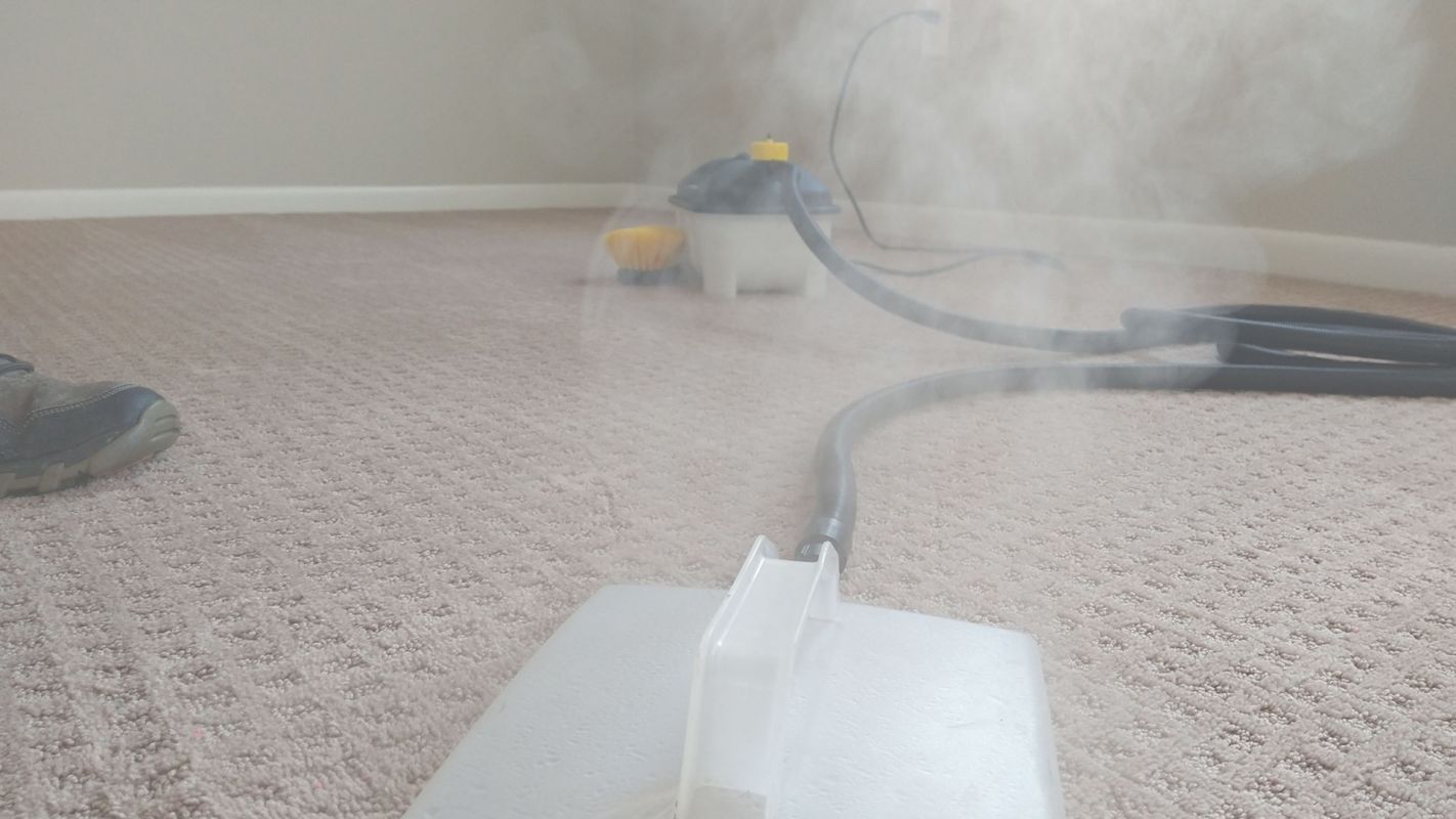 Ideal Carpet Cleaners Cost Waldorf, MD