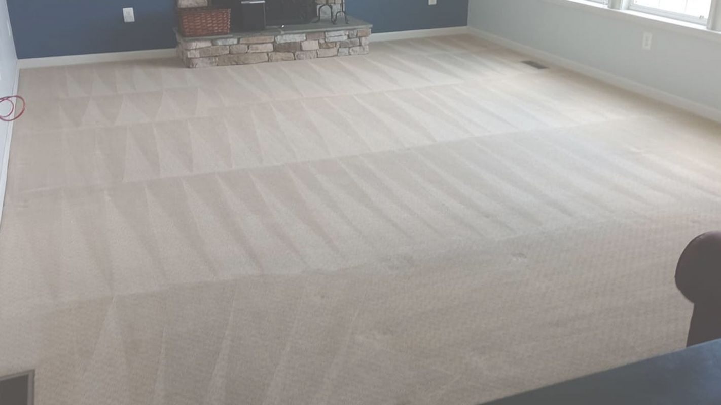 Discover the Real Clean with Our Carpet Cleaning Services Crofton, MD