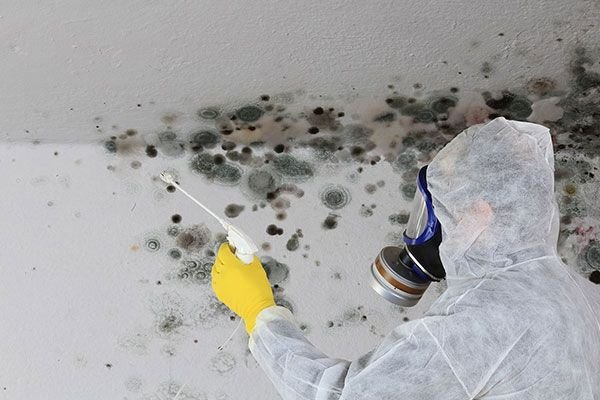 Mold Remediation Services Denver CO