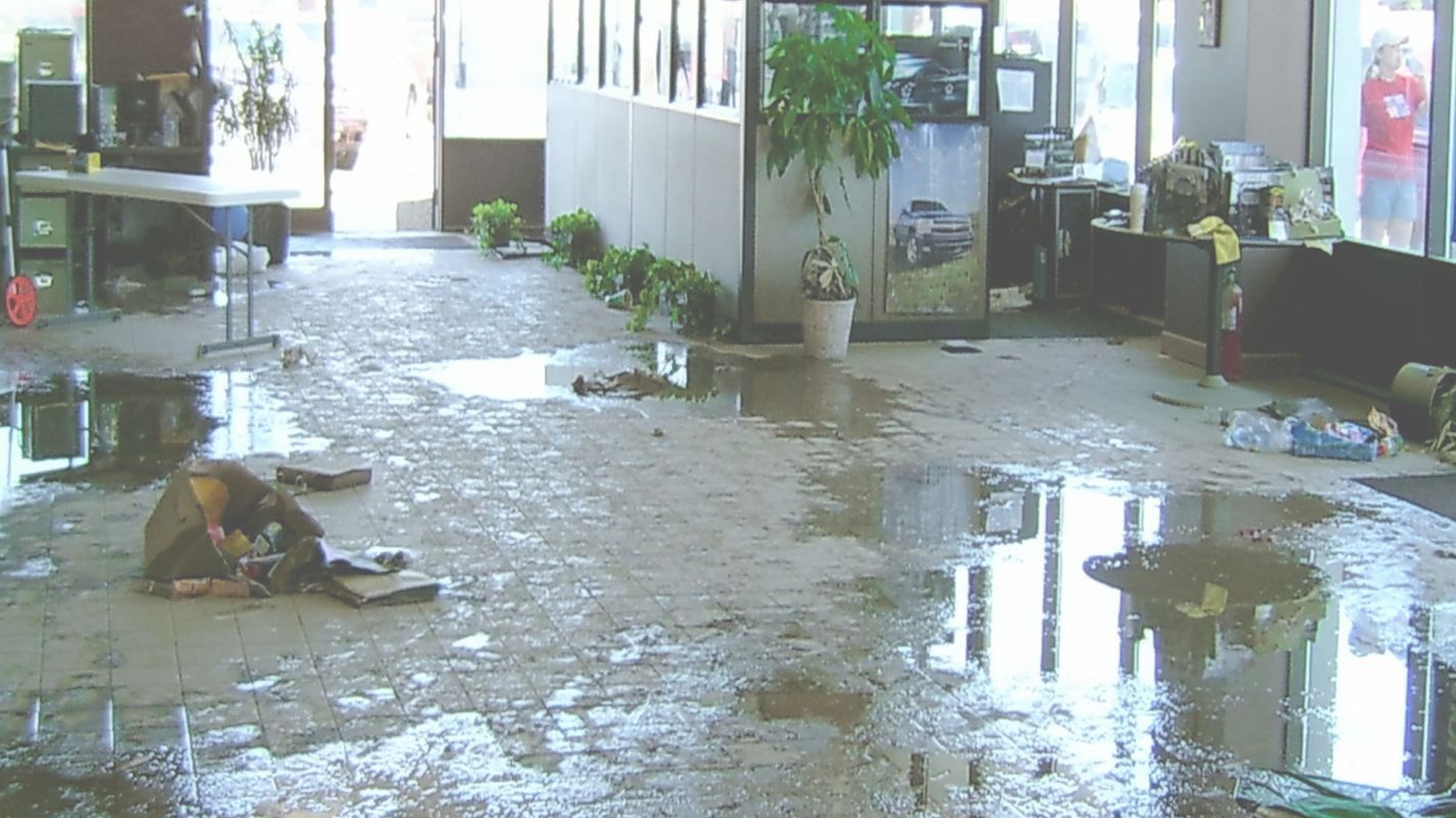 Affordable Flood Cleanup Service at your Doorstep West Palm Beach, FL