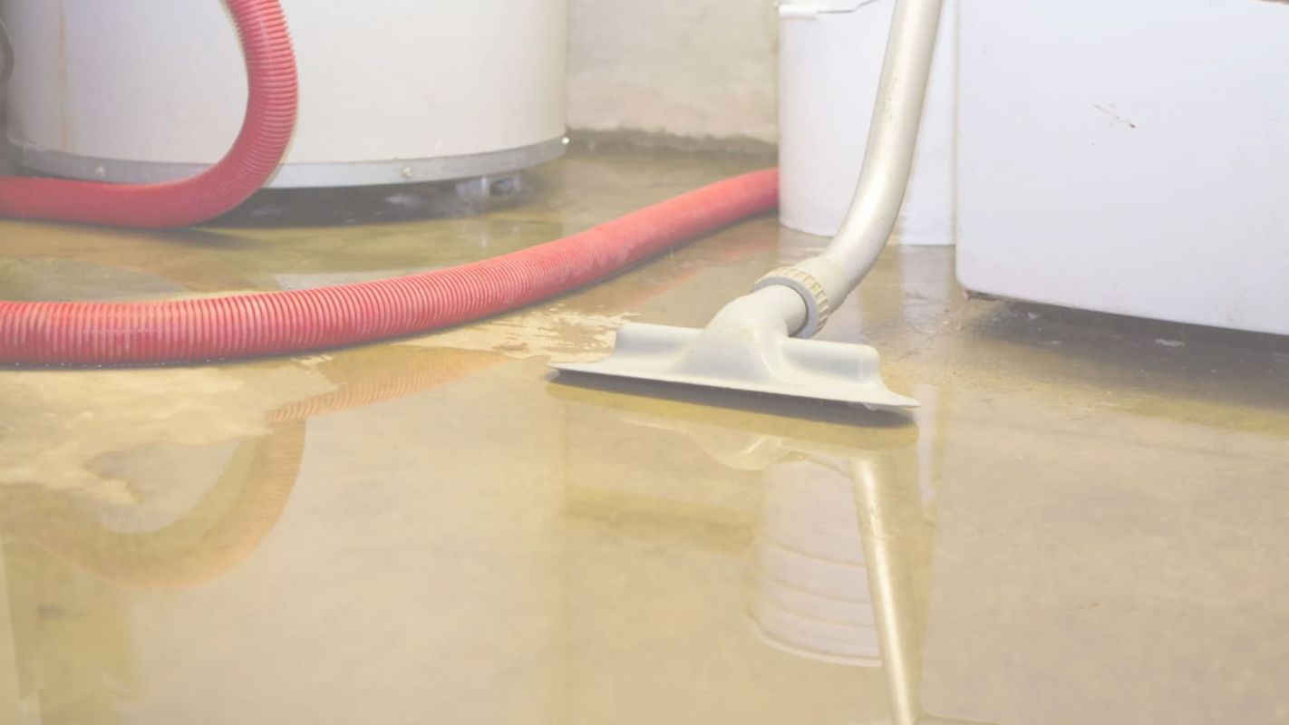 Water Removal Service to Get a Clean Place Alpharetta, GA