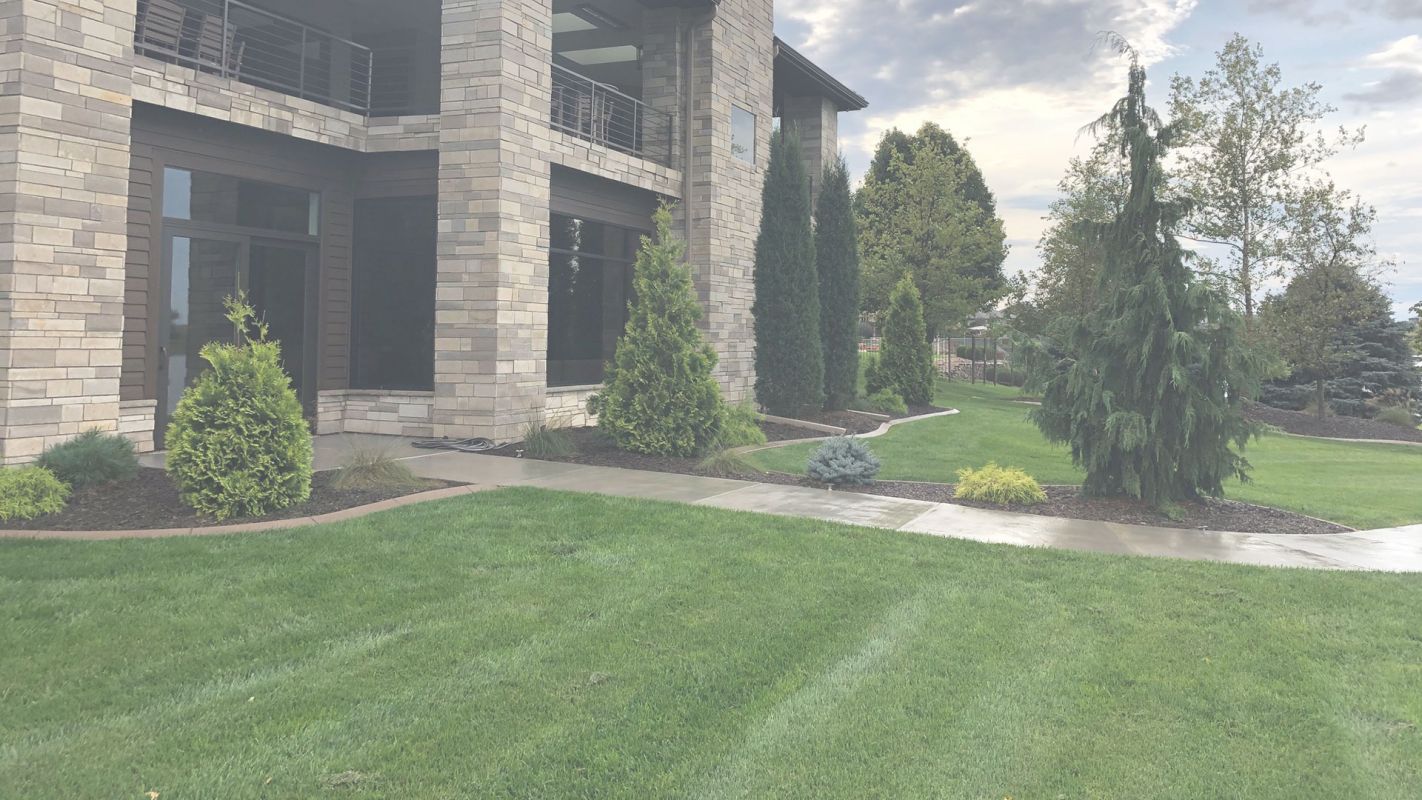 Lawn Maintenance Companies Bellevue, NE