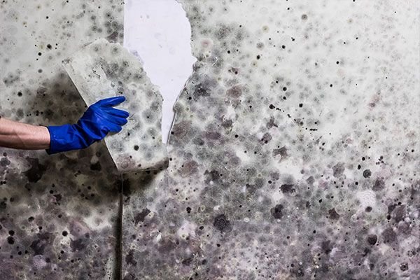 Mold Remediation Services Columbus OH