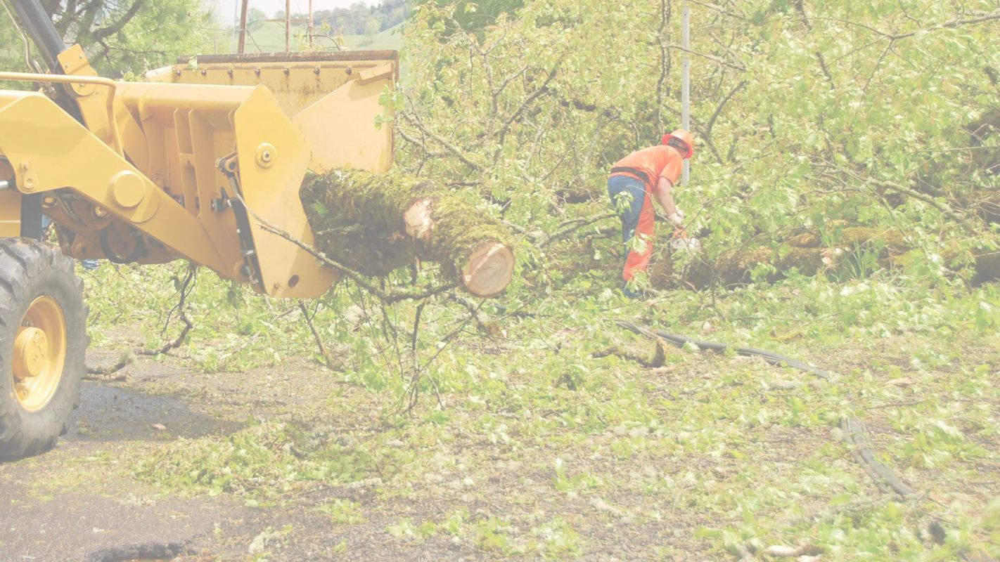 Know the Land Clearing Services Cost Now Far North Dallas, TX