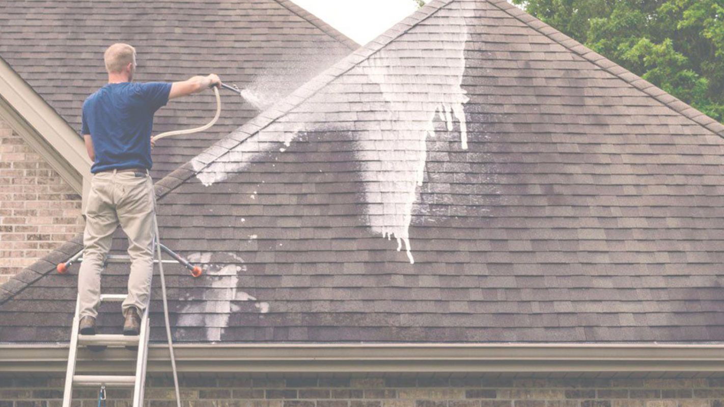 Roof Soft Washing that Blows Away Dirt and Stains Port Charlotte, FL