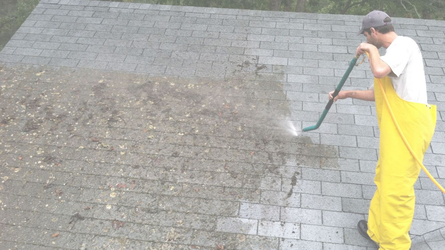 Roof Cleaning Services that Helps Roofs Last Longer Sarasota, FL