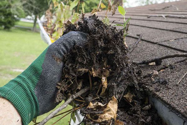 Local Gutter Cleaners Elk River MN