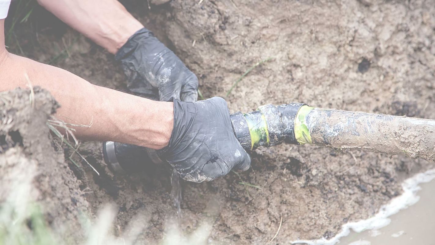 Drain Line Replacement Redmond, WA