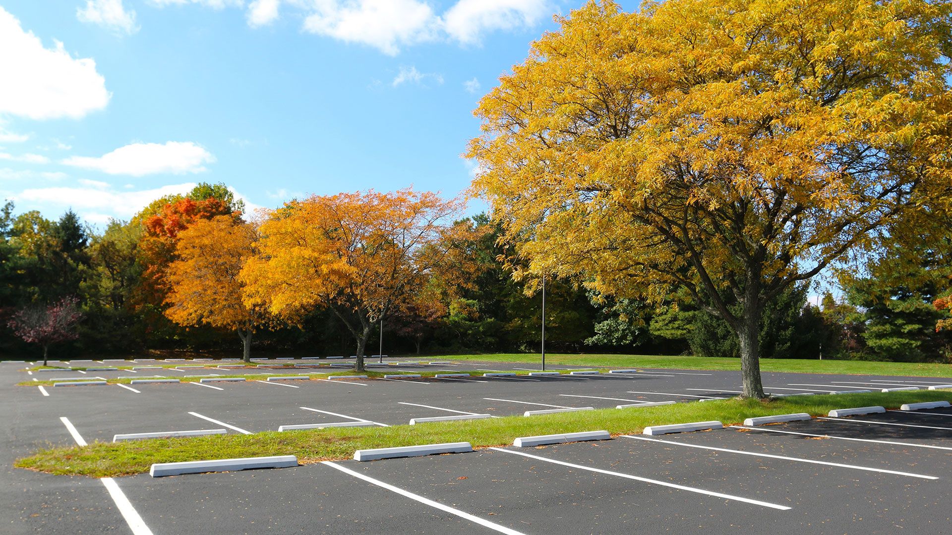 Best Parking Lot Line Striping Contractors Baltimore MD