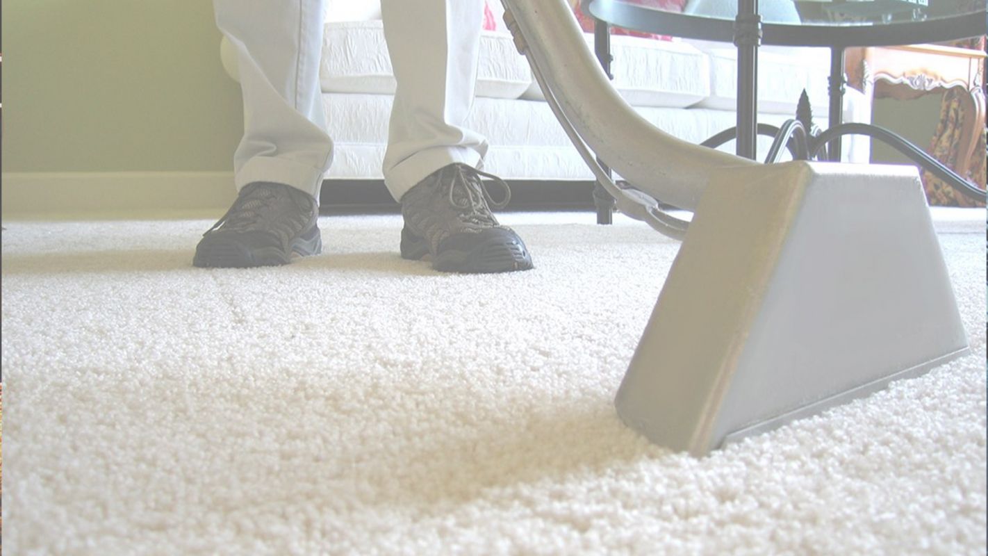 Top-Notch Carpet Cleaning Services