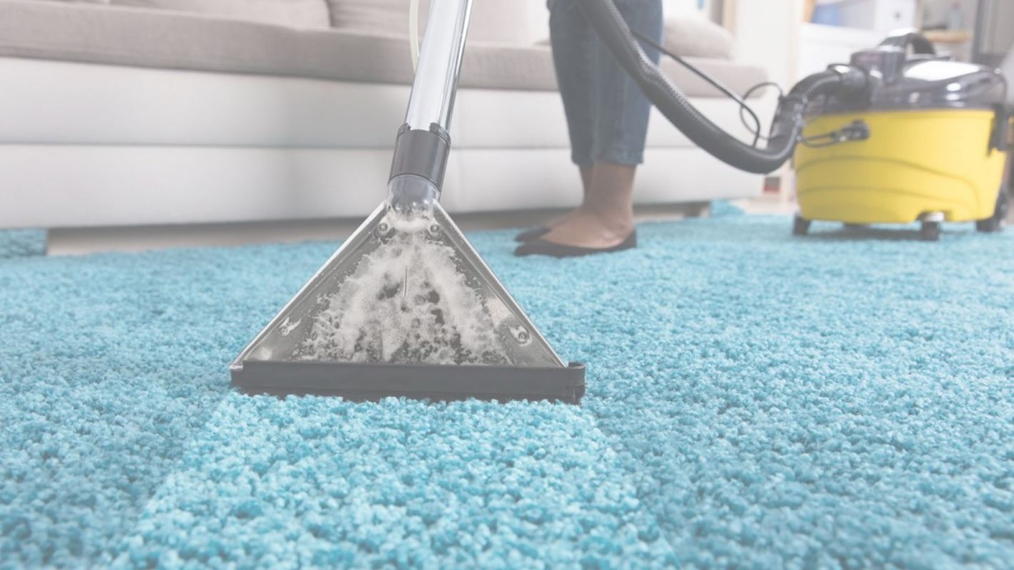Charles County, MD’s Top Carpet Cleaning Services