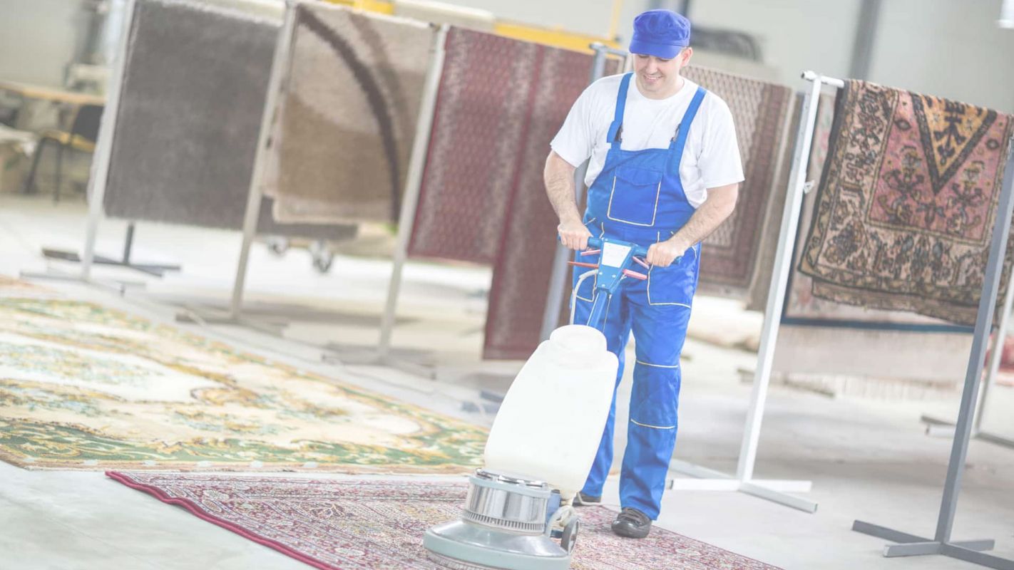 Hire #1 Rug Cleaning Company in Bluffton, SC