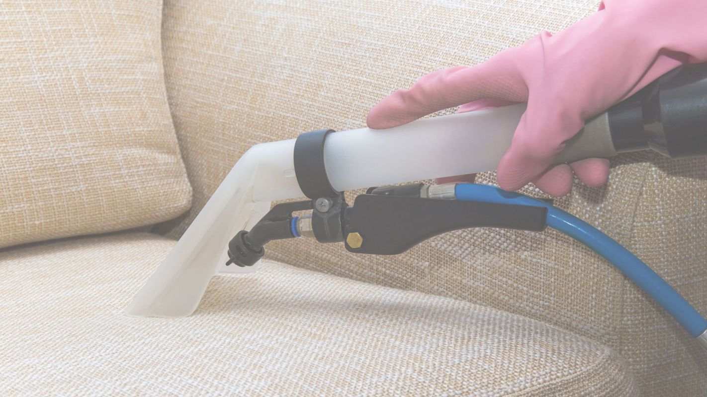 Affordable Upholstery Cleaning in Hilton Head Island, SC