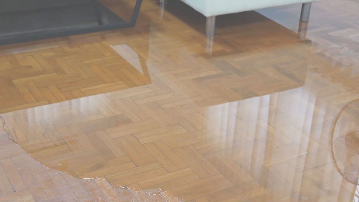 Cost Effective Water Damage Remediation Service Forney, TX