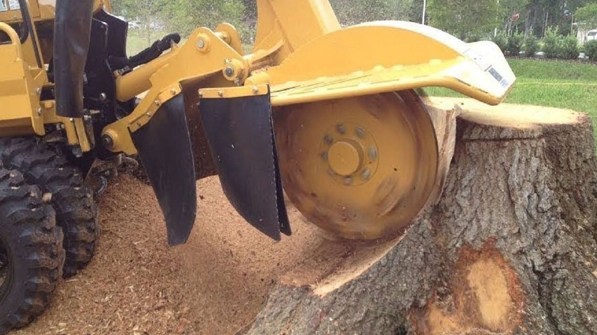 Stump Grinding Services Lakeside CA