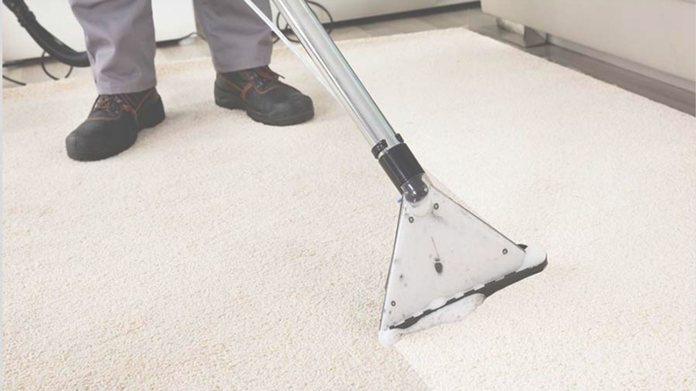 Hire the Most Affordable Carpet Cleaners in The Woodlands, TX