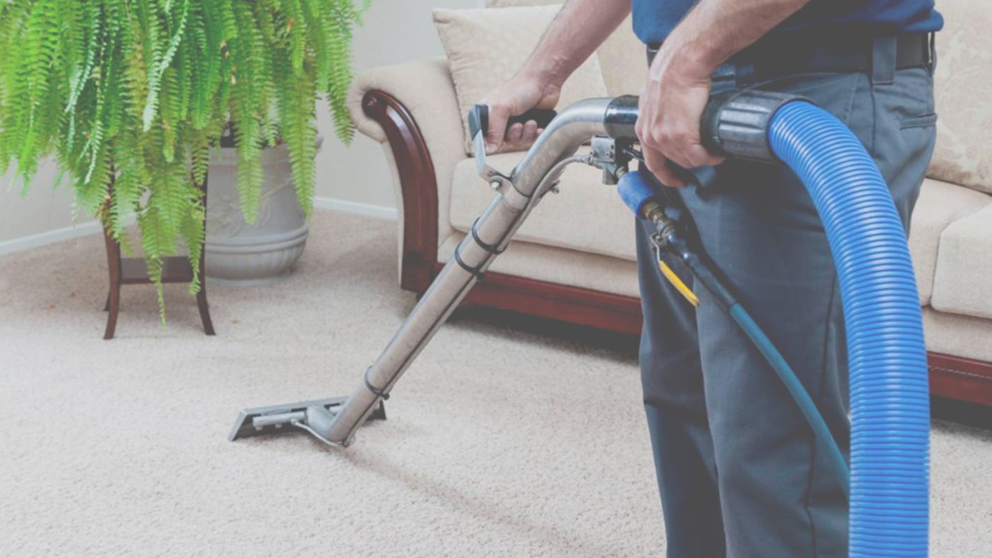 Hygienic Carpet Cleaning Services in The Woodlands, TX