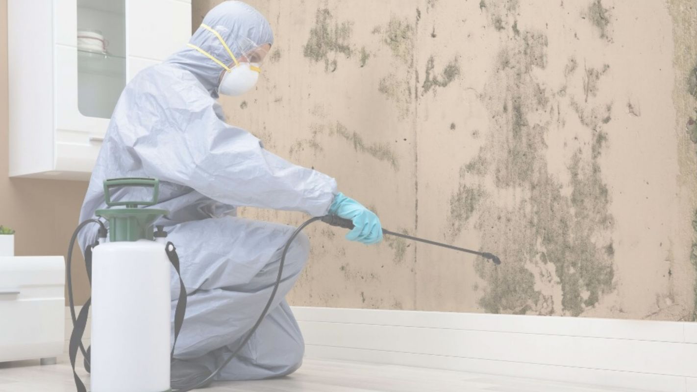 We Provide Reliable Mold Remediation Services in The Area Glen Burnie, MD