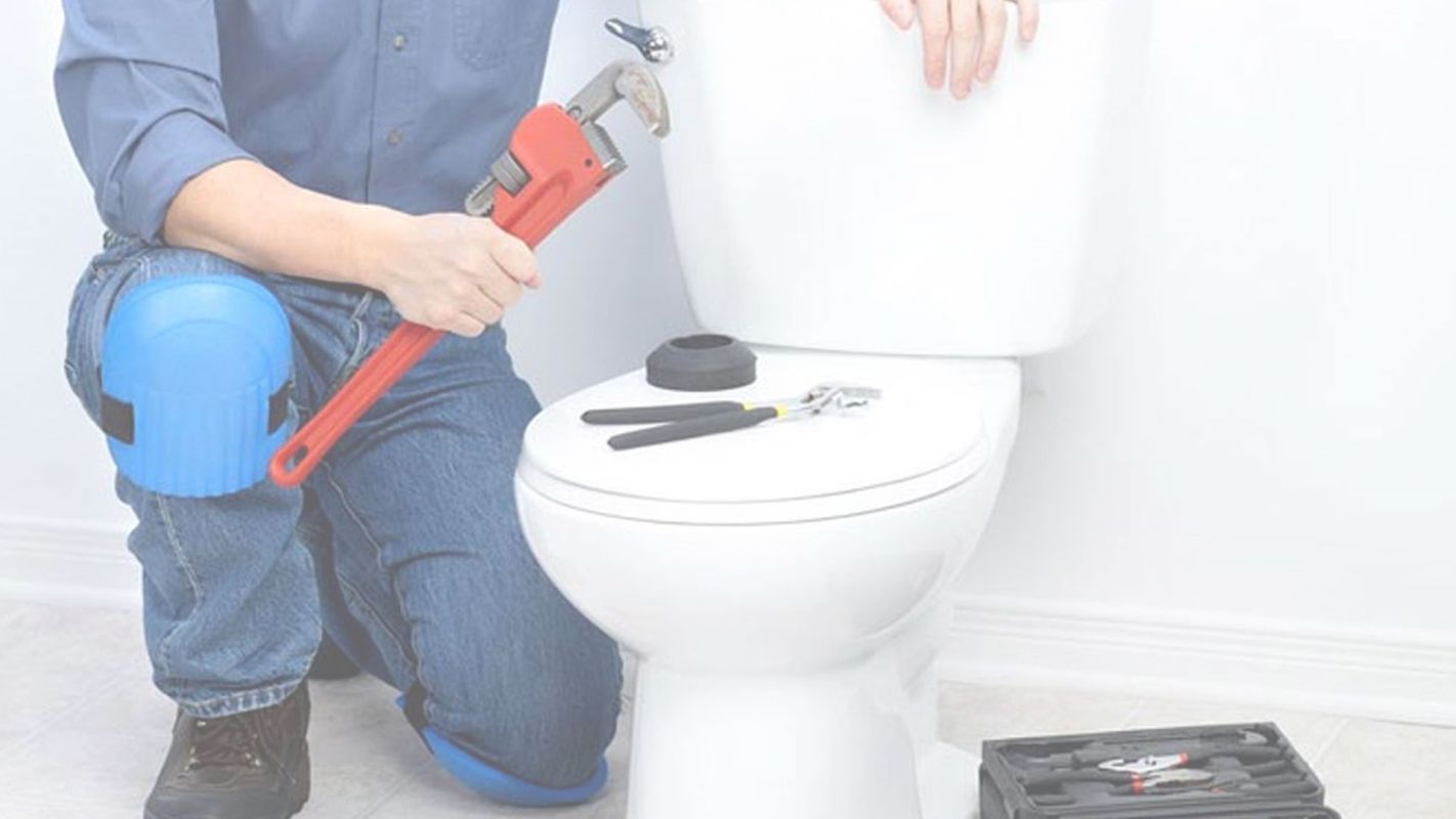 Need Emergency Toilet Repair Service? Niles, IL