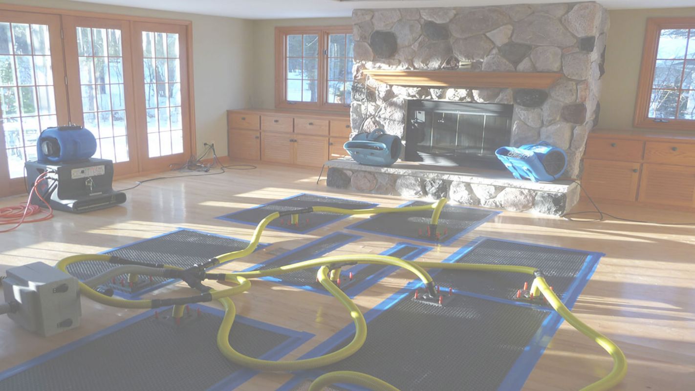 A Reliable Water Extraction Company in Your Area Maple Valley, WA