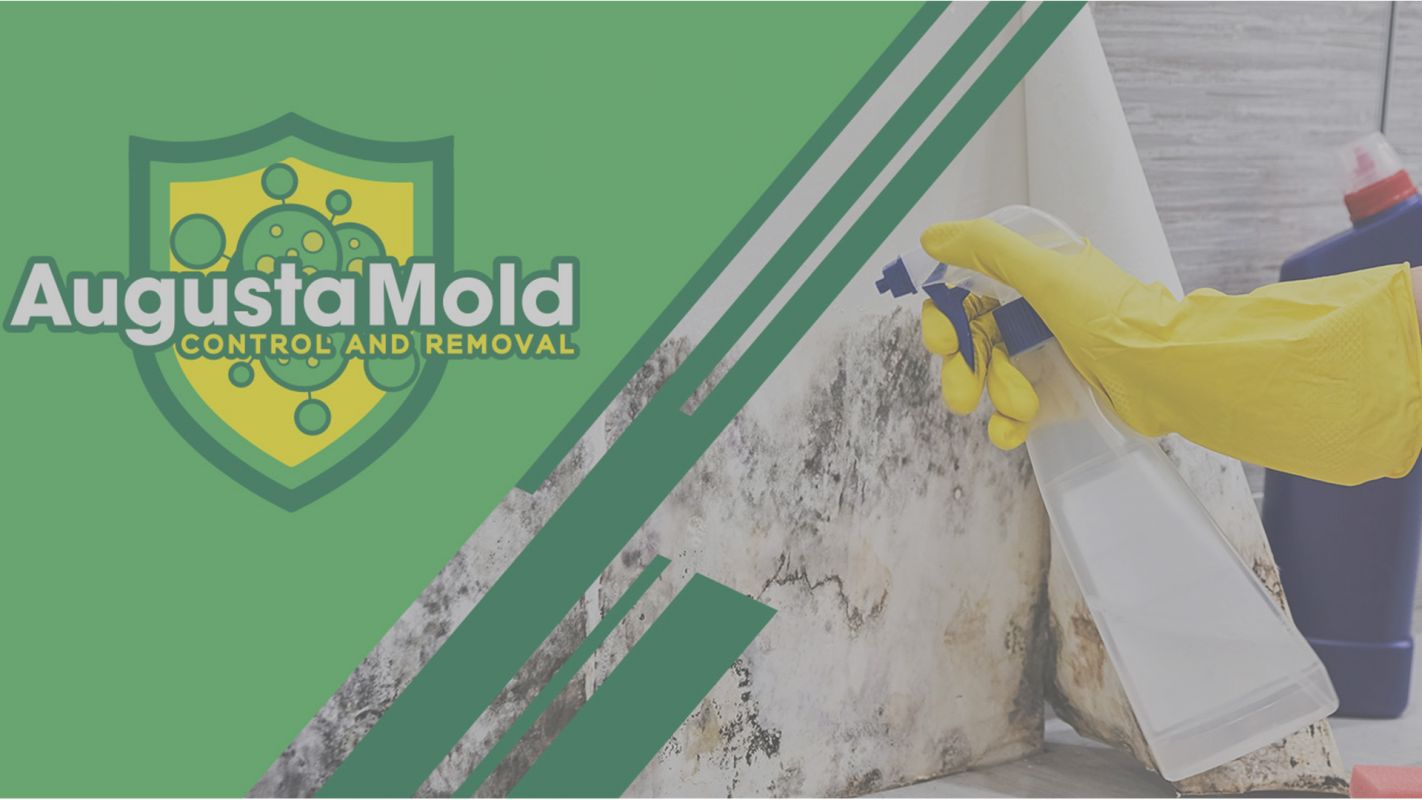 Get Mold Inspection Done in No Time Augusta, GA