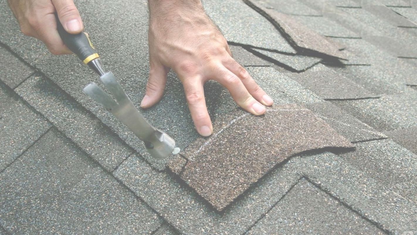 Reliable Roof Repairs Sterling Heights, MI