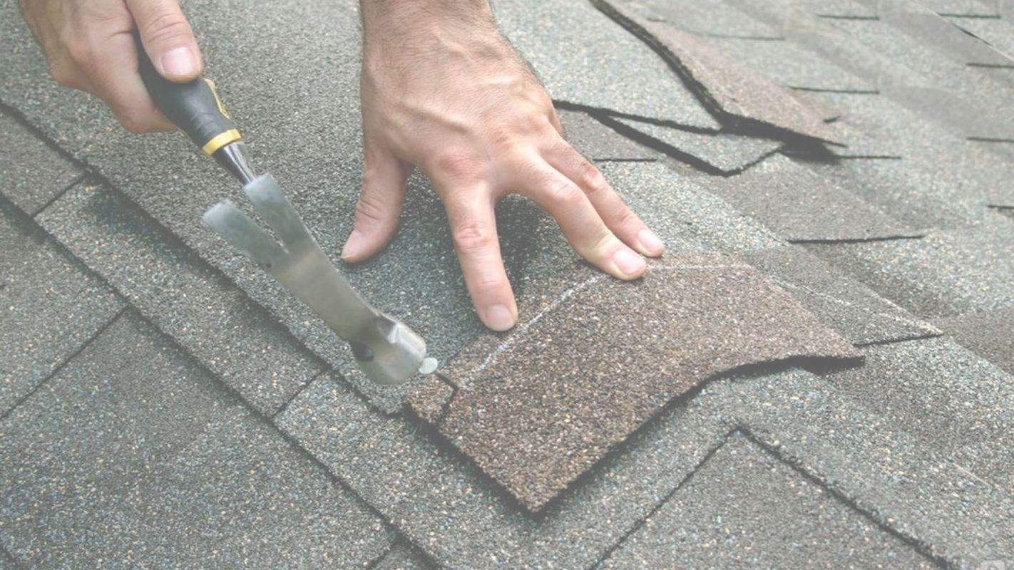 Reliable Roof Repairs Clinton Township, MI