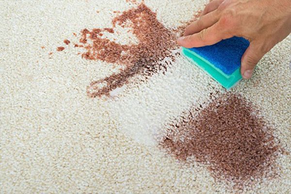 Stain Removal Services Walnut Creek CA