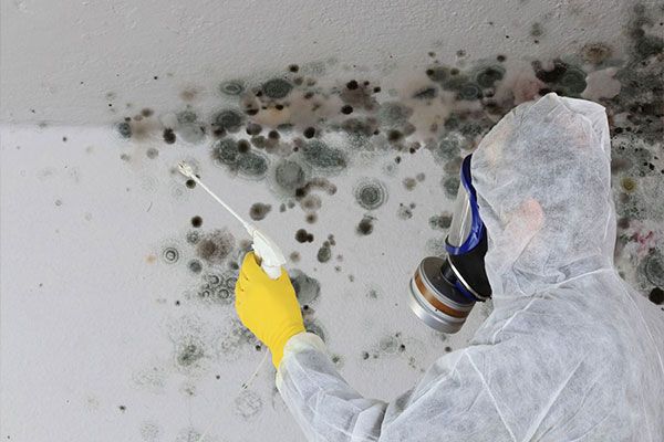 Mold Remediation Danbury CT