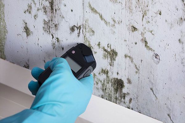 Mold Inspection Danbury CT