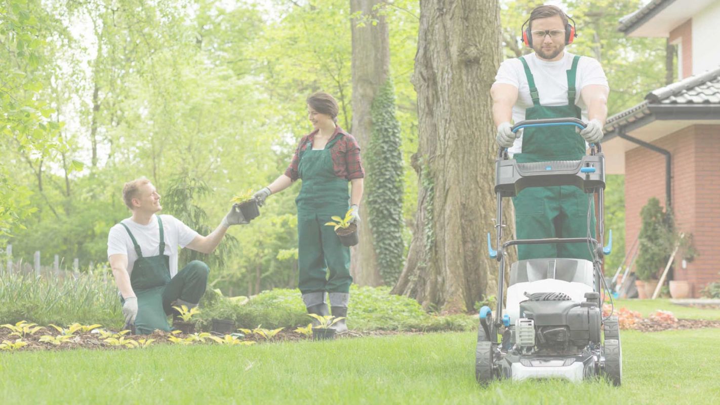 Lawn Care Services for Extra Lawn Touchup Cranberry, PA