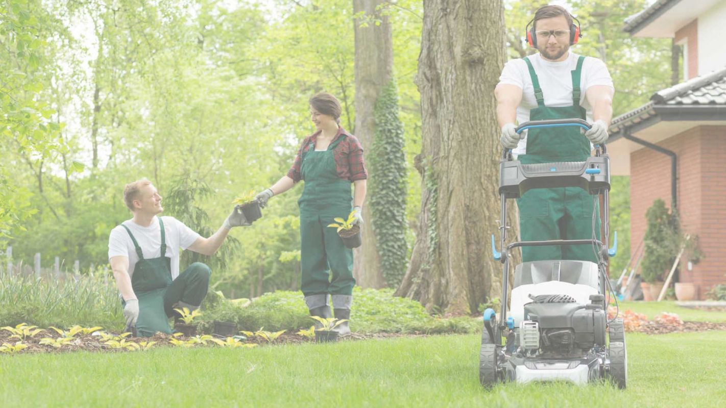 Lawn Care Services for Extra Lawn Touchup Pittsburgh, PA