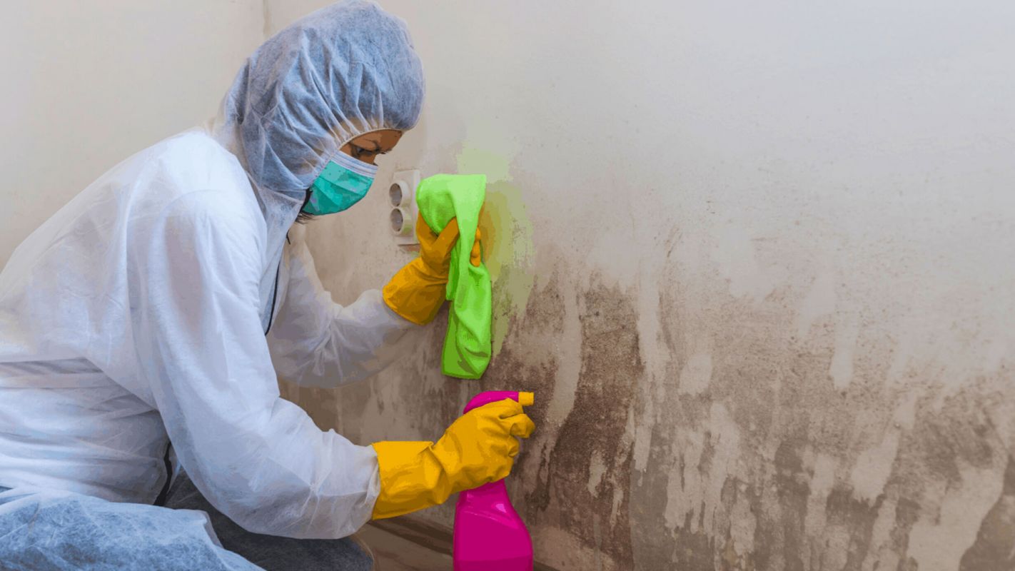Mold Clean Up Services Flowery Branch GA