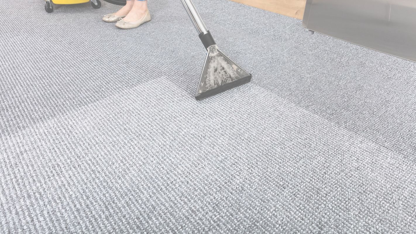 We Offer Sale Driven Minimal Carpet Cleaning Prices Grand Rapids, MI