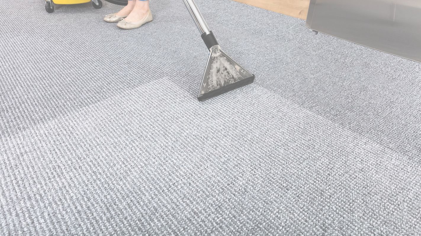 We Offer Sale Driven Minimal Carpet Cleaning Prices Georgetown Township, MI