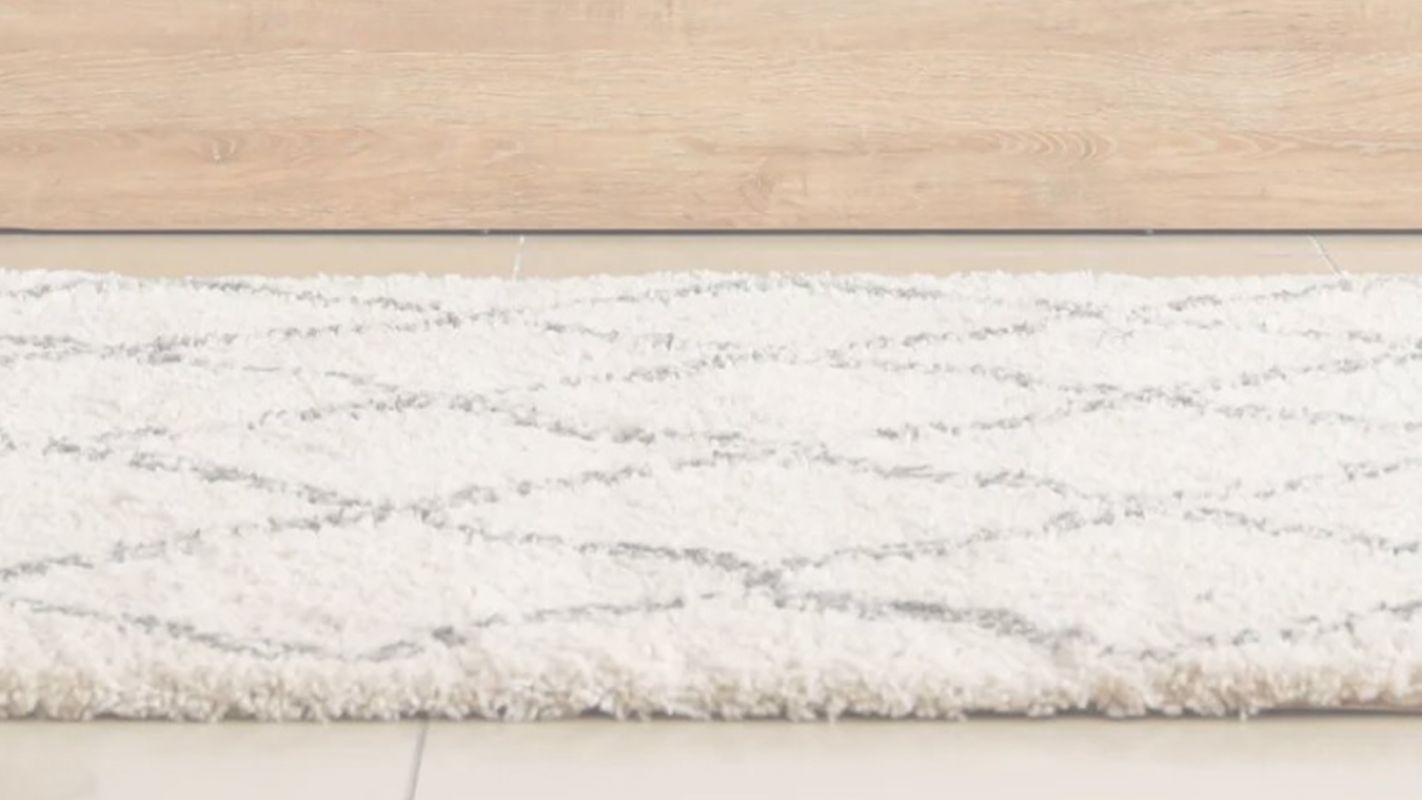 Discover the Real Clean with Our Rug Cleaning Company Georgetown Township, MI