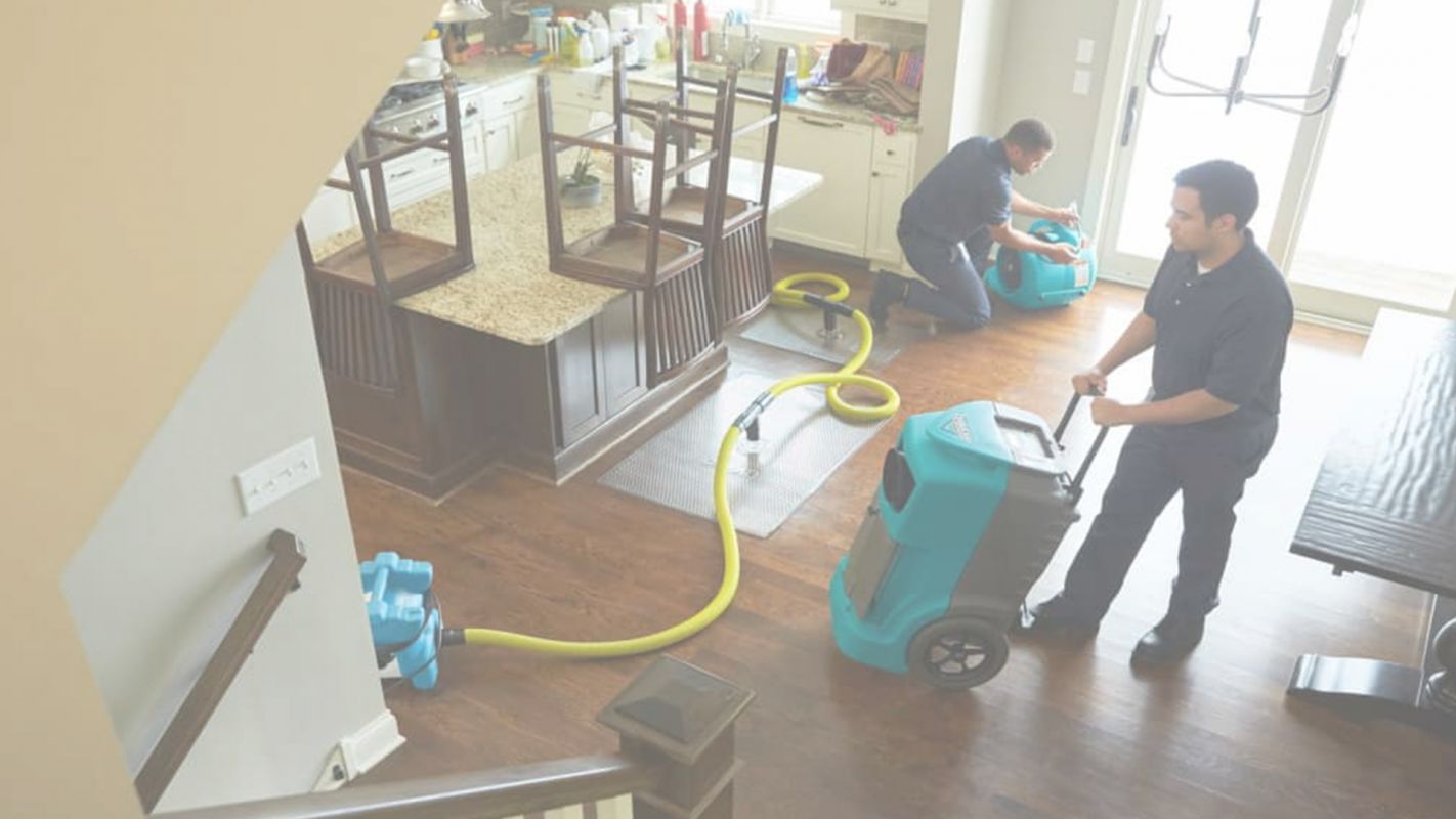 Water Damage Services that Guarantees Results The Woodlands, TX