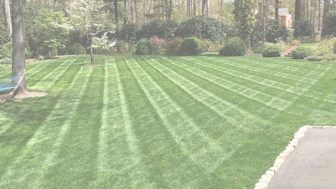 A Full-Service Landscapers in Lakewood, CA