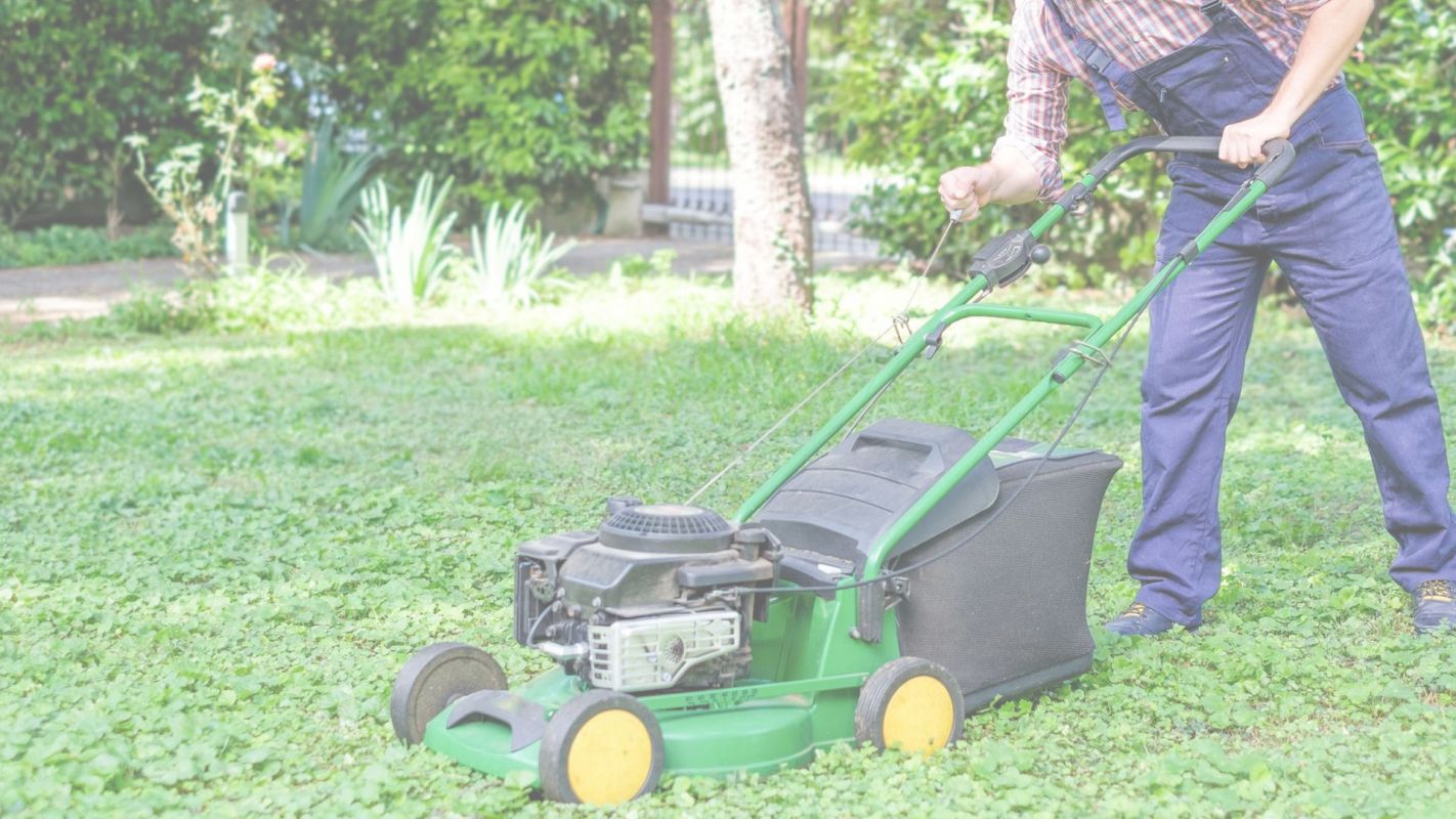 Let Us Be Your Lawn Maintenance Company La Mirada, CA