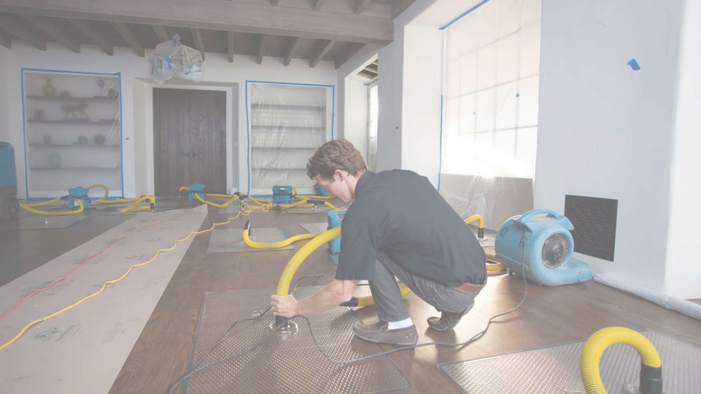 Pocket-Friendly Water Damage Services Cost You Can Find Spring, TX