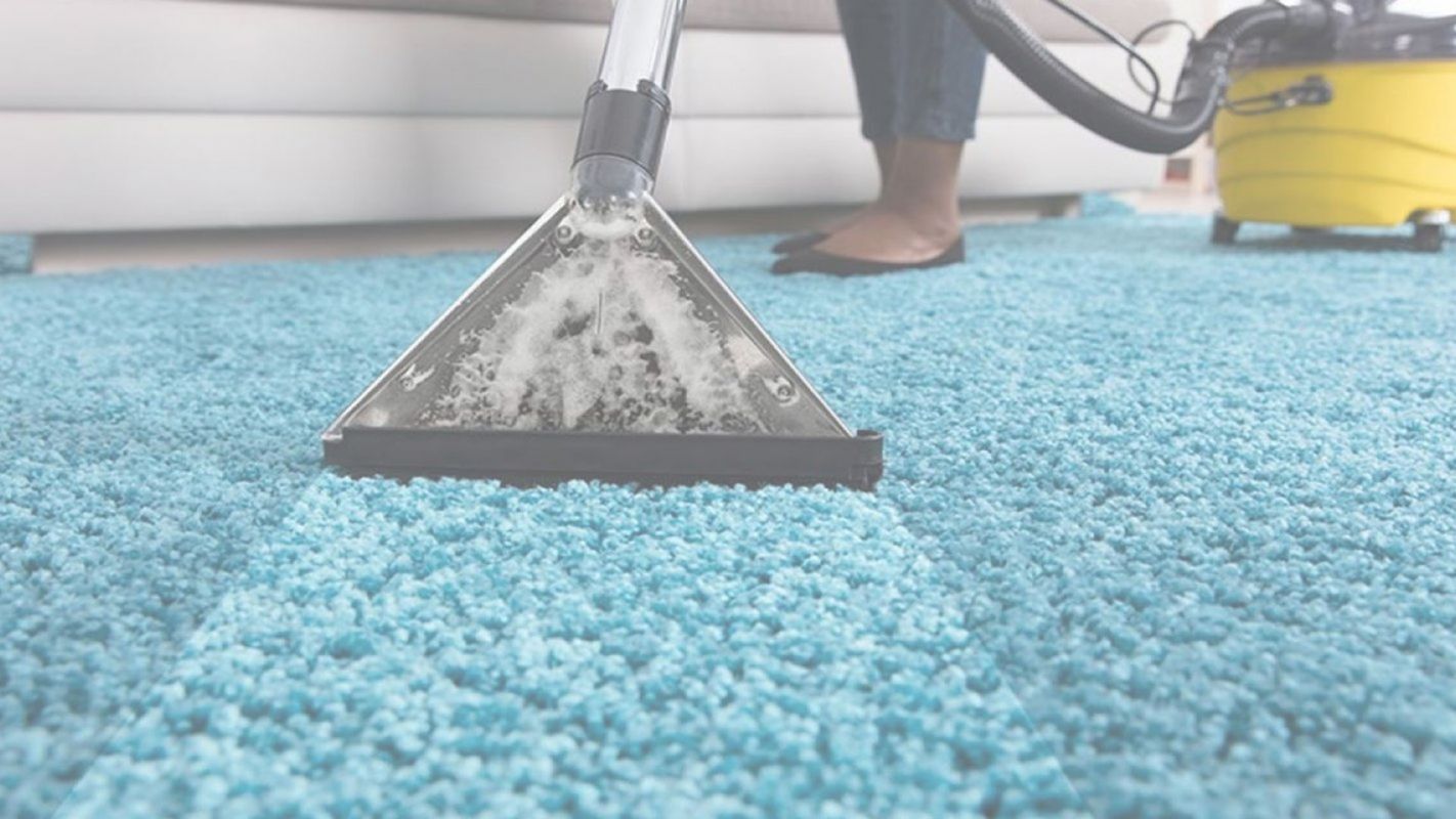 Low Carpet Cleaning Cost Guaranteed Queens, NY