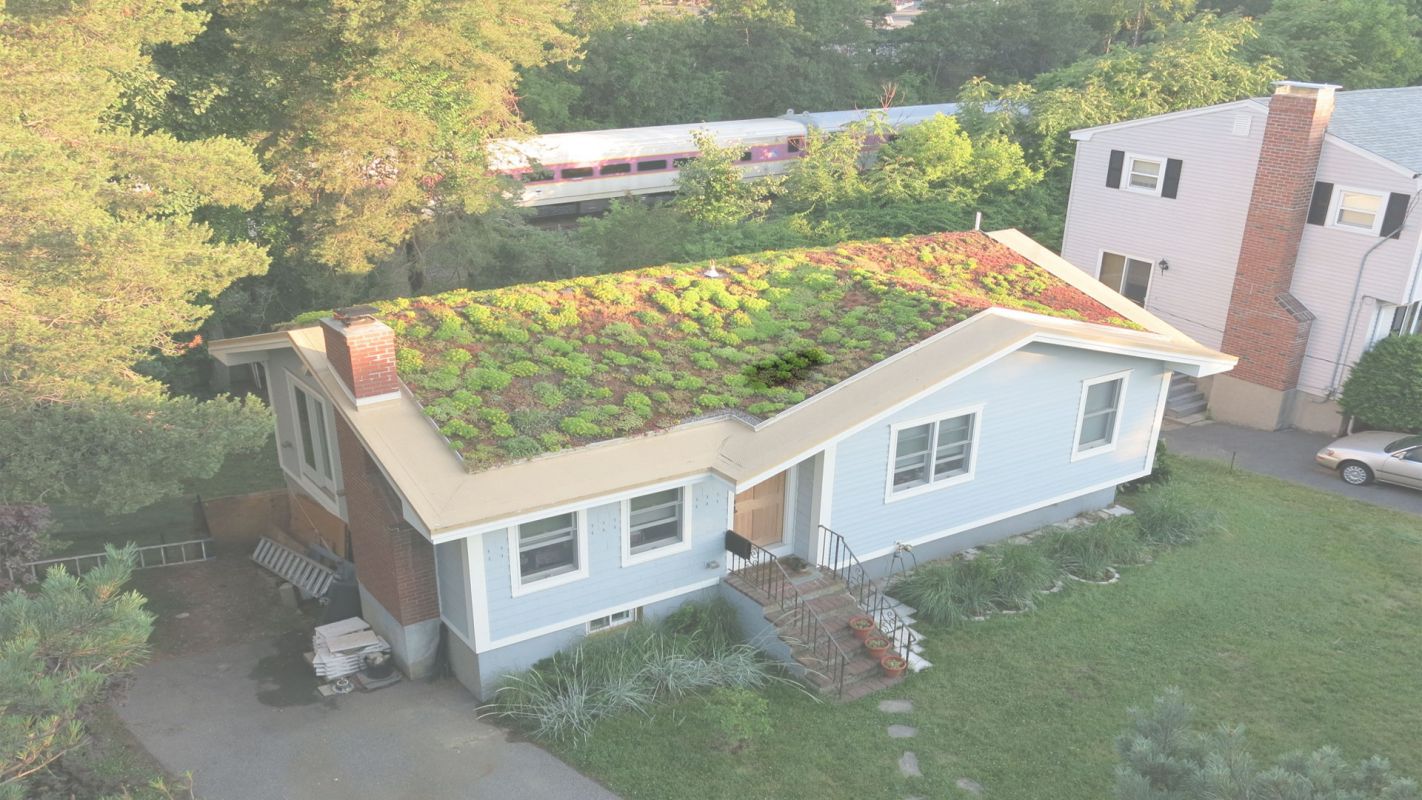 Get an Instant Green Roof Installation Rockville, MD