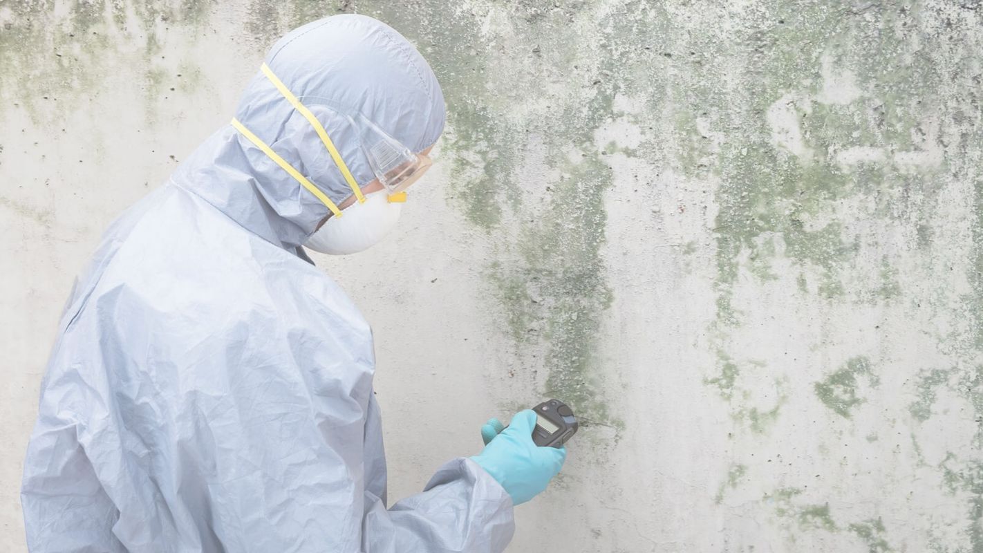 Cleaning done right with our Residential Mold Removing Services Carolina Beach, NC