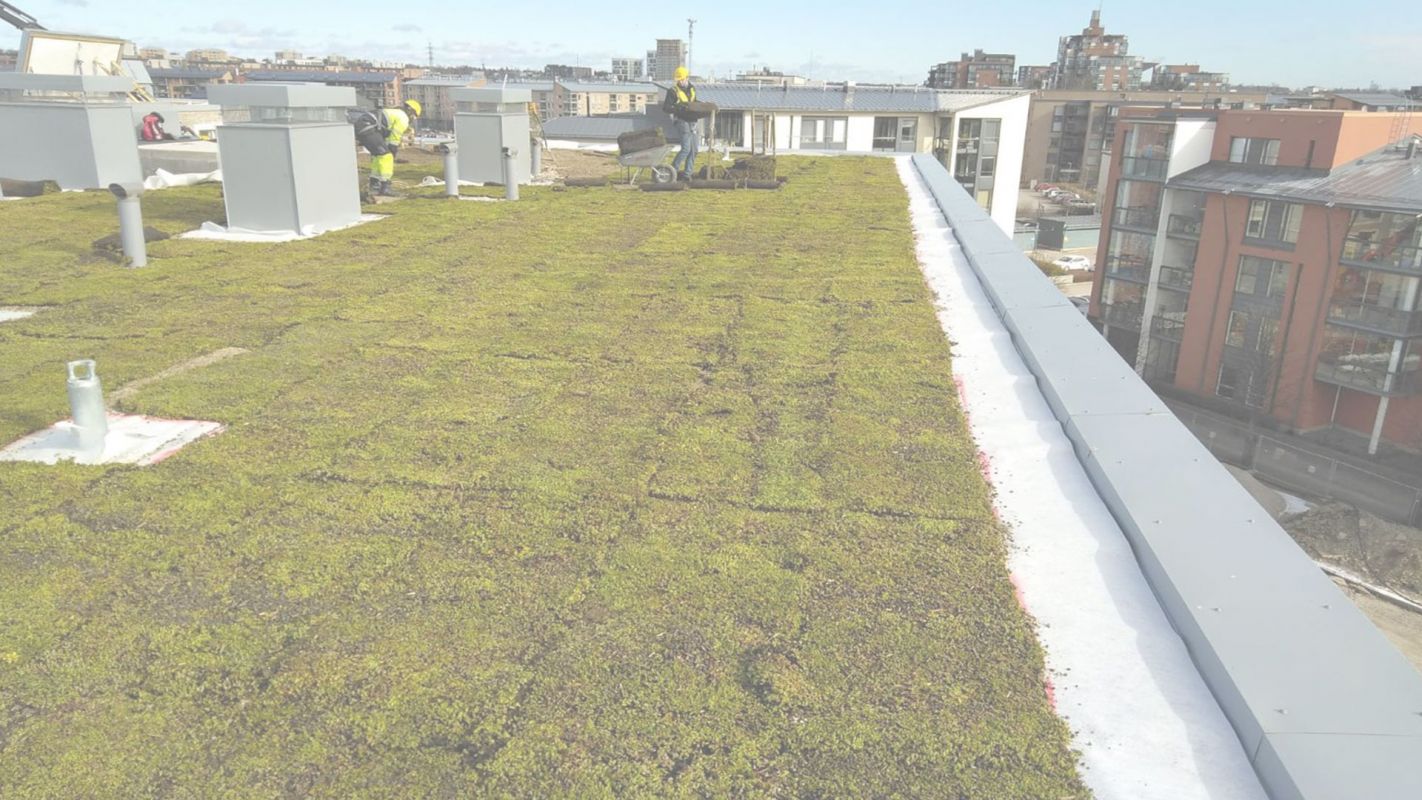 Green Roof Installation to make your Property Sustainable Orlando, FL
