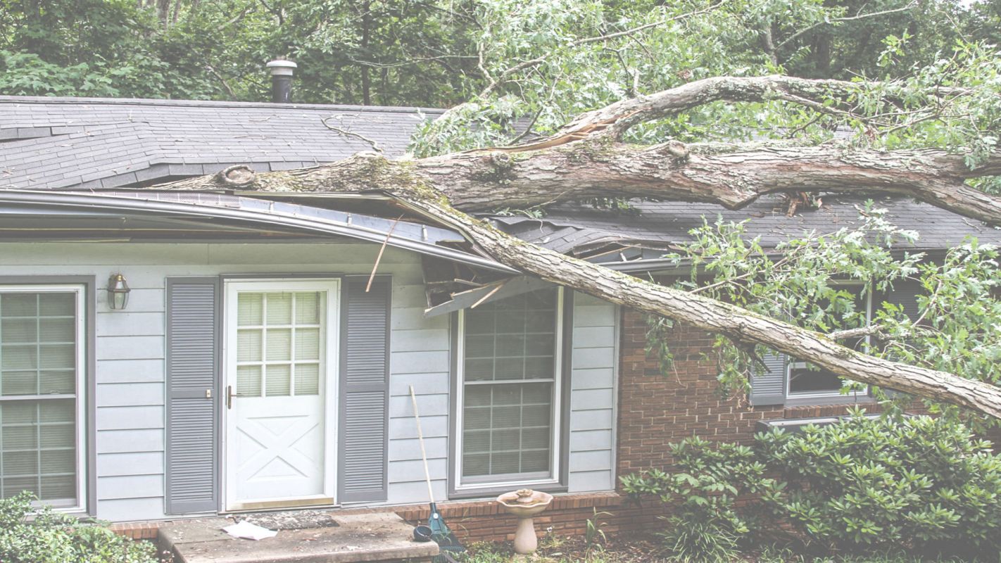 We Can Help With Storm Damage Roof Replacement Orlando, FL