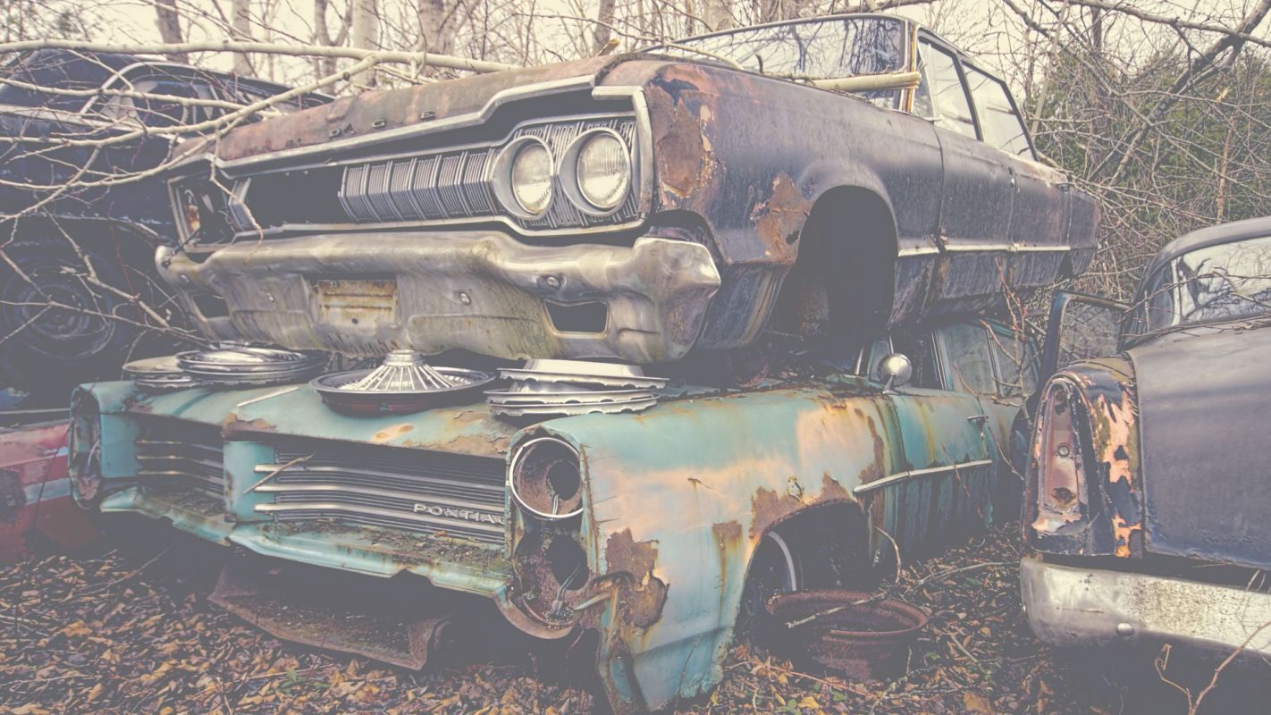 Renowned Junk Car Buyers at Your Service Wesley Chapel, FL